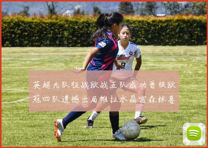 英超九队征战欧战五队成功晋级欧冠四队遗憾出局维拉水晶宫森林喜获晋级资格