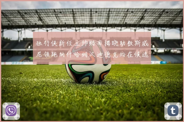 独行侠新任主帅赔率揭晓助教斯威尼领跑纳什哈姆汉迪德克均在候选之中